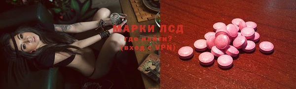 стаф Алзамай
