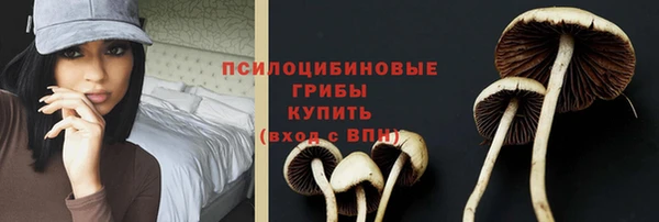 эйфоретик Протвино